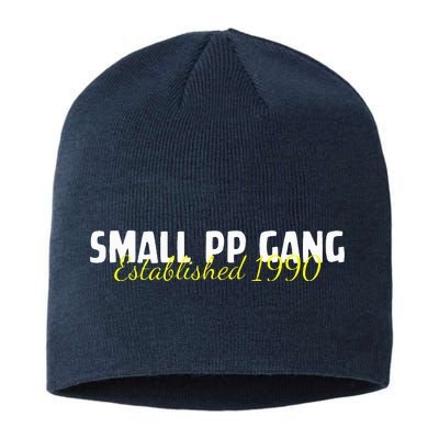 Small Pp Gang Established 1990 Funny Apparel Sustainable Beanie