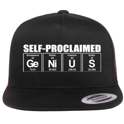 Self Proclaimed Genius Funny Gift Flat Bill Trucker Hat