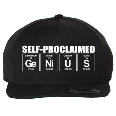 Self Proclaimed Genius Funny Gift Wool Snapback Cap