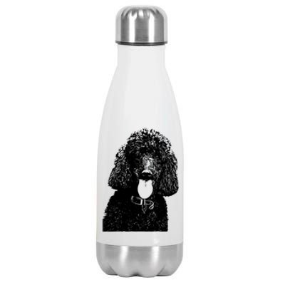 Standard Poodle Gift Stainless Steel Insulated Water Bottle