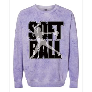 Softball Pitcher Great N Player Practice Cool Gift Colorblast Crewneck Sweatshirt