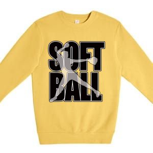 Softball Pitcher Great N Player Practice Cool Gift Premium Crewneck Sweatshirt