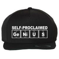 Self Proclaimed Genius Funny Periodic Table Wool Snapback Cap