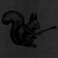 Squirrel Playing Guitar Funny Squirel Guitar Lover Guitar Adult Drive Performance Visor