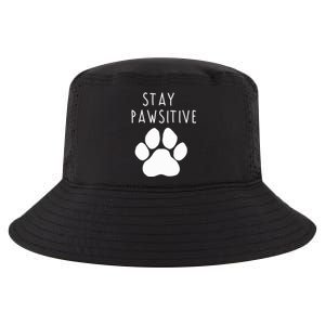 Stay Pawsitive Gift Cool Comfort Performance Bucket Hat