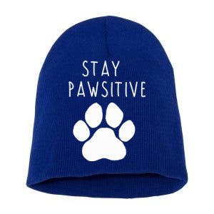 Stay Pawsitive Gift Short Acrylic Beanie