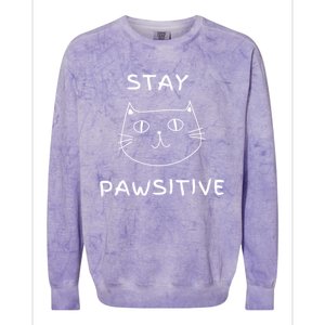 Stay Pawsitive Gift Colorblast Crewneck Sweatshirt