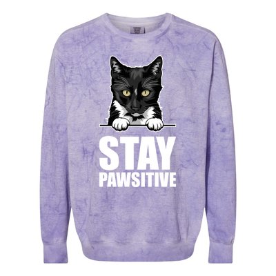 Stay Pawsitive Gift Colorblast Crewneck Sweatshirt