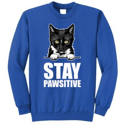 Stay Pawsitive Gift Sweatshirt