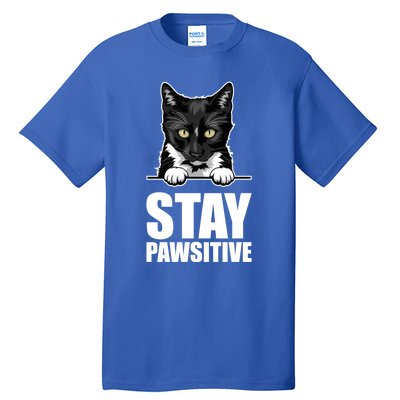 Stay Pawsitive Gift Tall T-Shirt