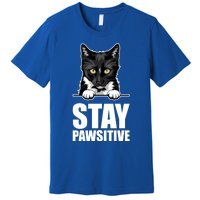 Stay Pawsitive Gift Premium T-Shirt