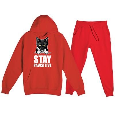 Stay Pawsitive Gift Premium Hooded Sweatsuit Set