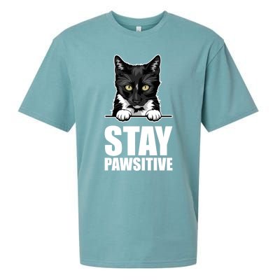 Stay Pawsitive Gift Sueded Cloud Jersey T-Shirt