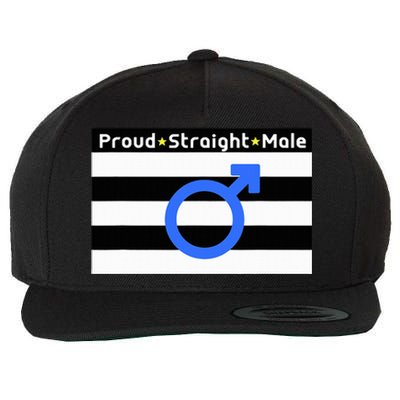 Straight Proud Heterosexual Male Wool Snapback Cap