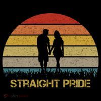 Straight Pride Heterosexual Pride Womens T-Shirt