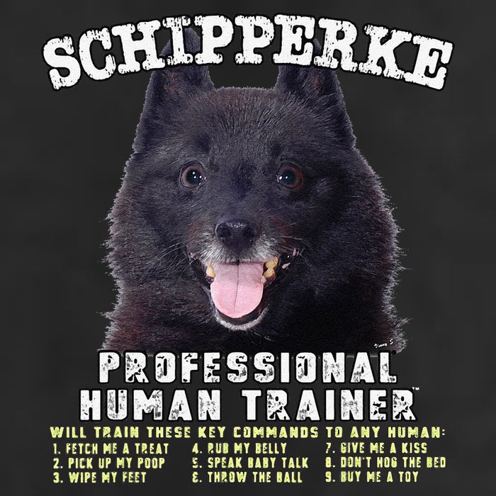 Schipperke Professional Human Trainer Cute Dog Adult Drive Performance Visor