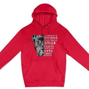 Soul Pitbull I Love Pitbull Dog Lover Premium Pullover Hoodie