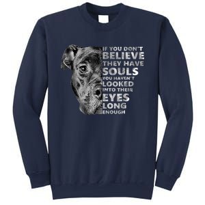 Soul Pitbull I Love Pitbull Dog Lover Sweatshirt