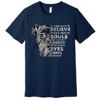 Soul Pitbull I Love Pitbull Dog Lover Premium T-Shirt