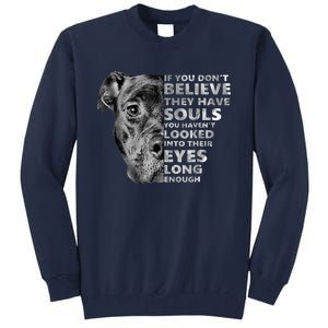 Soul Pitbull I Love Pitbull Dog Lover Tall Sweatshirt