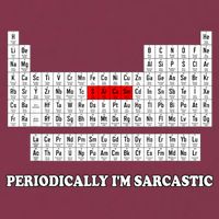 Sarcasm Periodically I'm Sarcastic 16oz Travel Tumbler