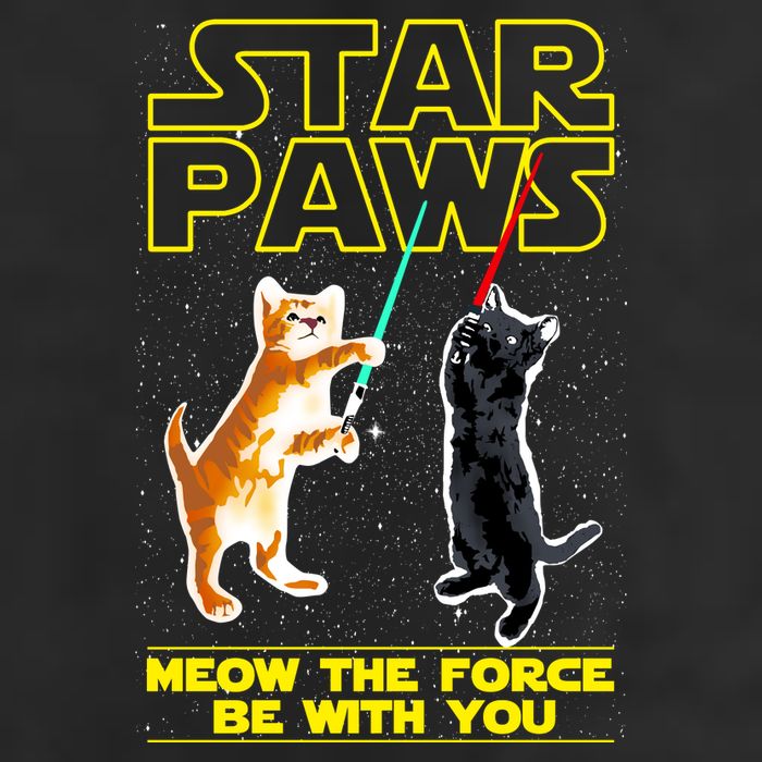 Star Paws Meow The Force Be With You 15oz Campfire Ceramic Mug