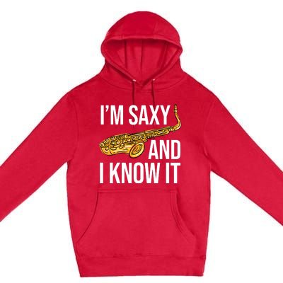 Saxophone Player Musicians Saxophone Player And Teacher Gift Premium Pullover Hoodie