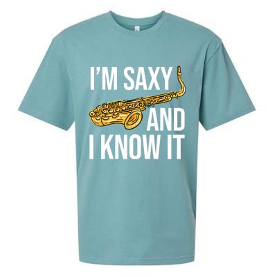 Saxophone Player Musicians Saxophone Player And Teacher Gift Sueded Cloud Jersey T-Shirt