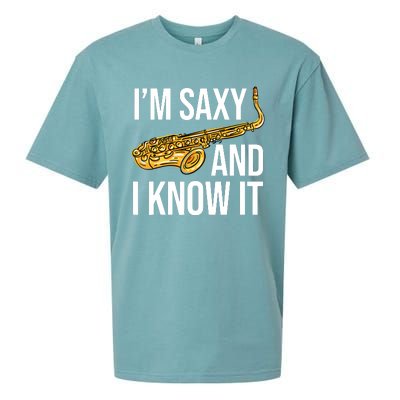 Saxophone Player Musicians Saxophone Player And Teacher Gift Sueded Cloud Jersey T-Shirt