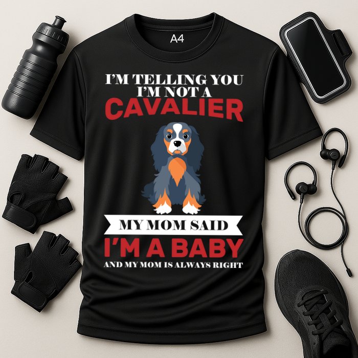 Spoiled King Charles Cavalier Performance Shirt