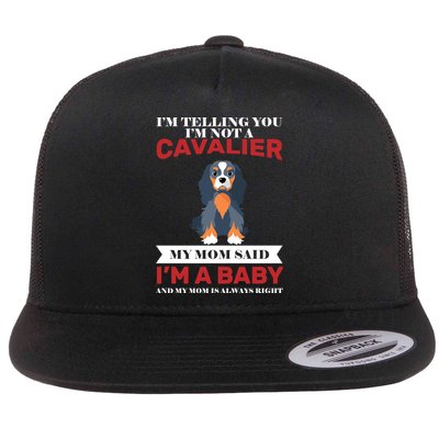 Spoiled King Charles Cavalier Flatbill Hat