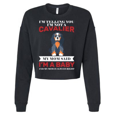 Spoiled King Charles Cavalier Cropped Pullover Crew