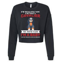 Spoiled King Charles Cavalier Cropped Pullover Crew