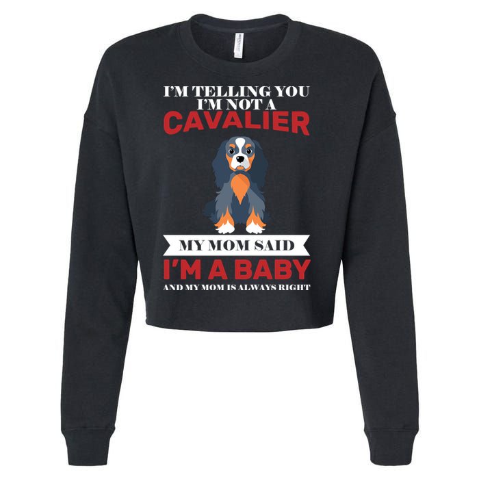 Spoiled King Charles Cavalier Cropped Pullover Crew