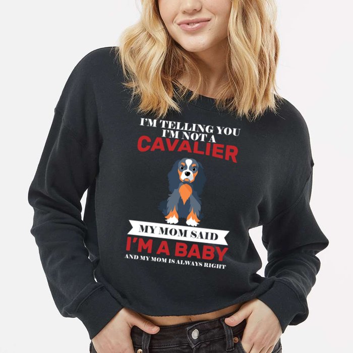 Spoiled King Charles Cavalier Cropped Pullover Crew