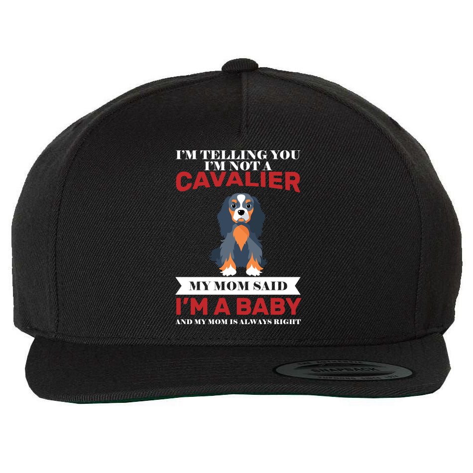 Spoiled King Charles Cavalier Wool Snapback Cap