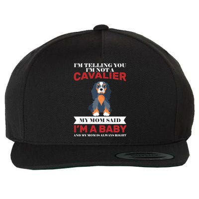 Spoiled King Charles Cavalier Wool Snapback Cap