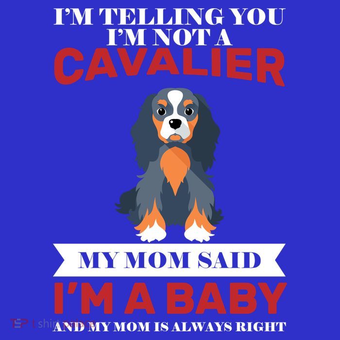 Spoiled King Charles Cavalier Button