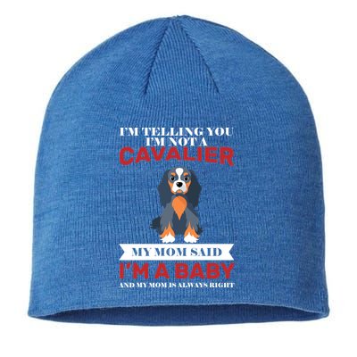 Spoiled King Charles Cavalier Sustainable Beanie