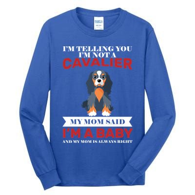 Spoiled King Charles Cavalier Tall Long Sleeve T-Shirt