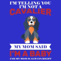 Spoiled King Charles Cavalier Womens T-Shirt
