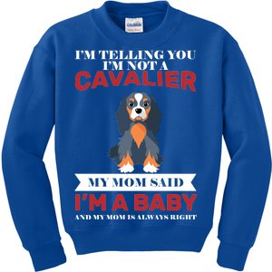 Spoiled King Charles Cavalier Kids Sweatshirt