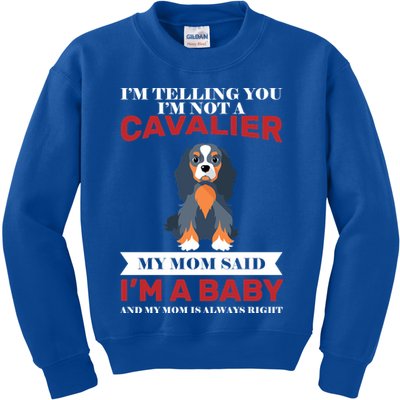 Spoiled King Charles Cavalier Kids Sweatshirt