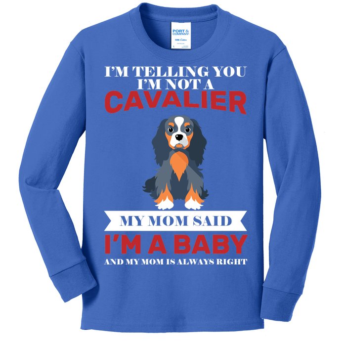 Spoiled King Charles Cavalier Kids Long Sleeve Shirt