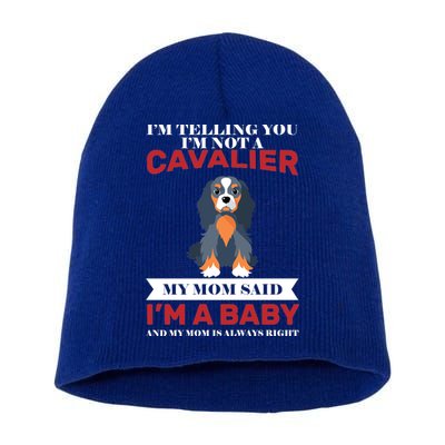 Spoiled King Charles Cavalier Short Acrylic Beanie