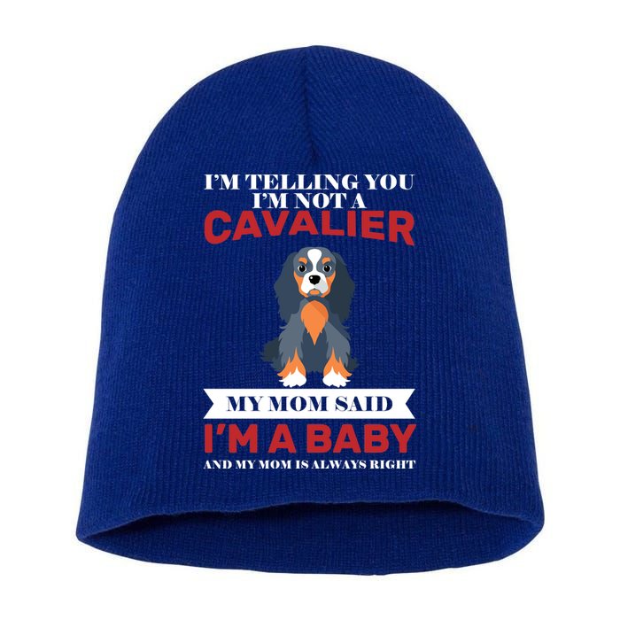 Spoiled King Charles Cavalier Short Acrylic Beanie