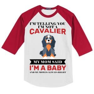 Spoiled King Charles Cavalier Kids Colorblock Raglan Jersey