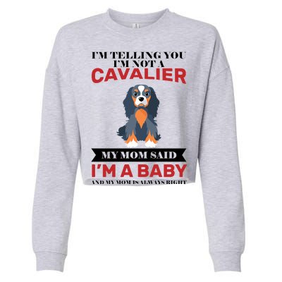 Spoiled King Charles Cavalier Cropped Pullover Crew