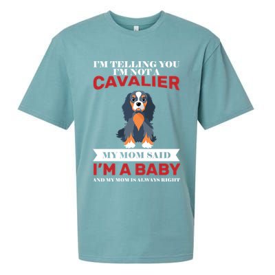 Spoiled King Charles Cavalier Sueded Cloud Jersey T-Shirt