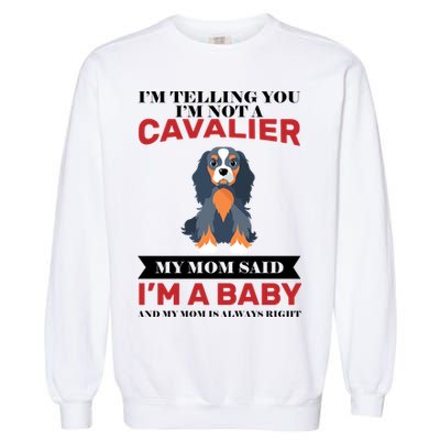 Spoiled King Charles Cavalier Garment-Dyed Sweatshirt